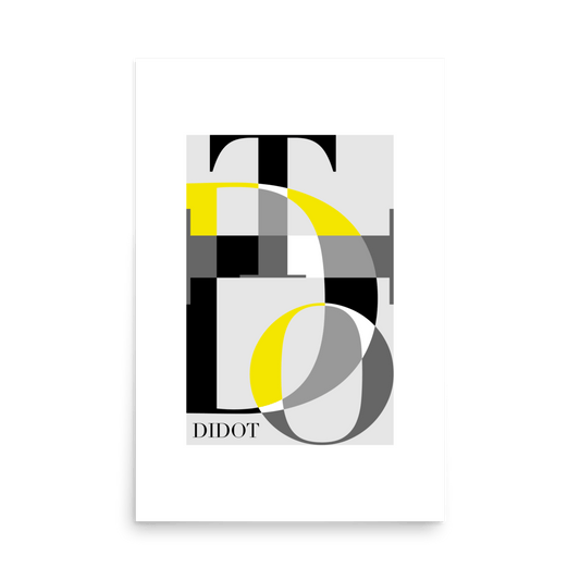 Abstract Didot Bold Print - THE WALL SNOB