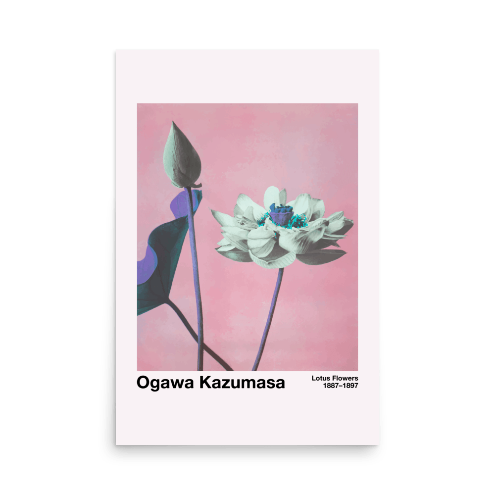 Lotus Flower 1 by Kazumasa Print - THE WALL SNOB