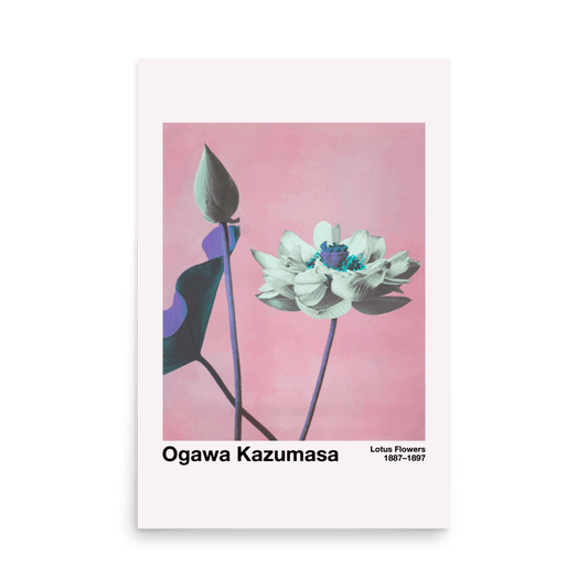 Lotus Flower 1 by Kazumasa Print - THE WALL SNOB