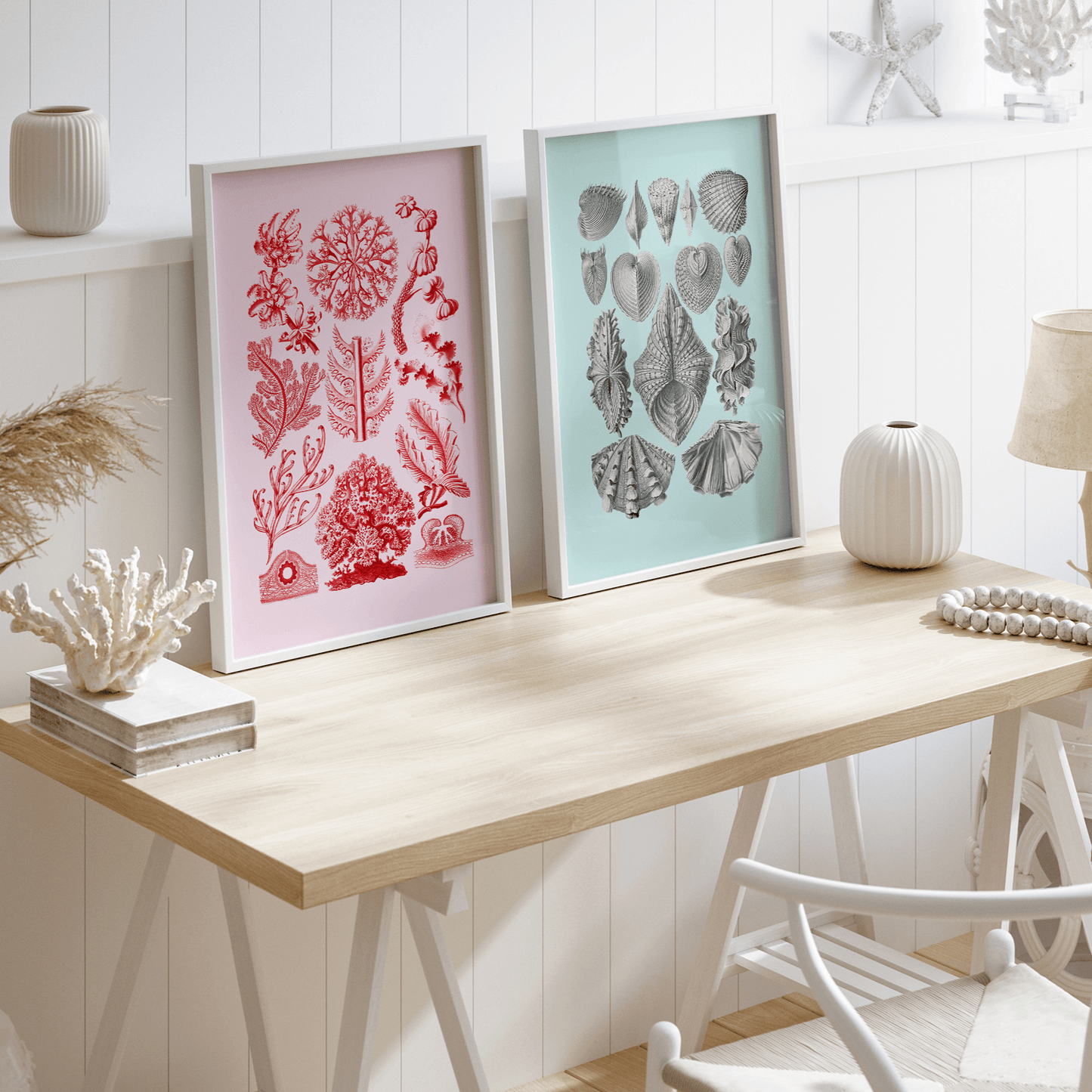 Sea Life Sea Shells Print - THE WALL SNOB