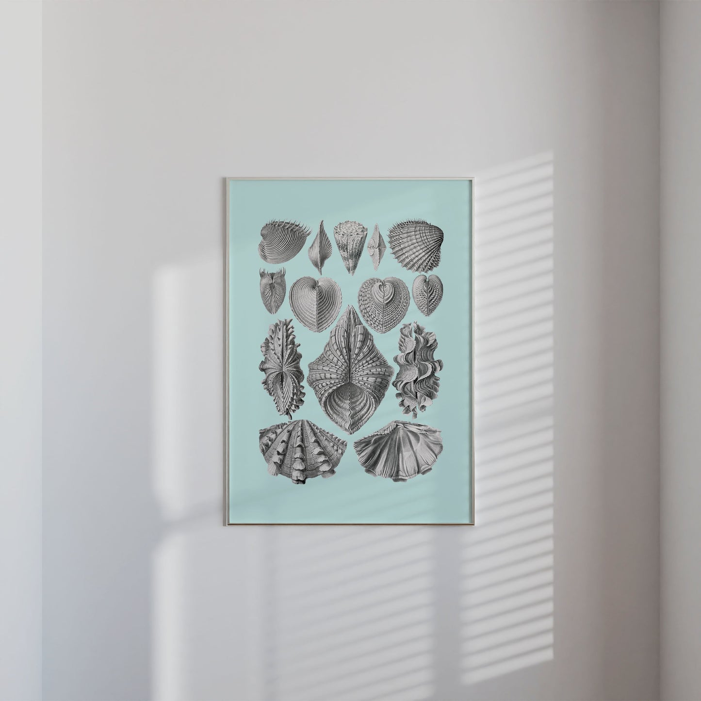 Sea Life Sea Shells Print - THE WALL SNOB
