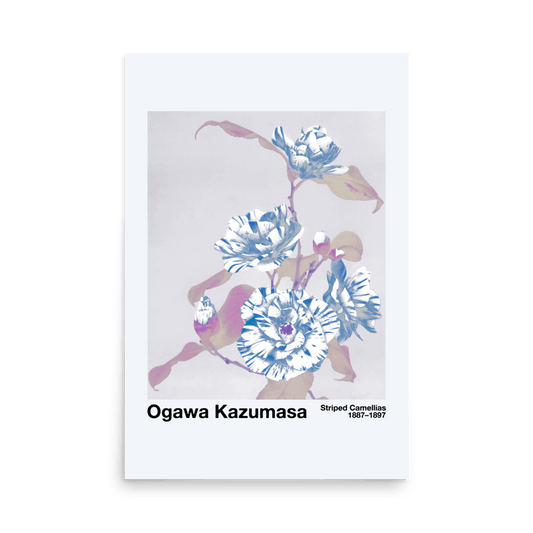 Striped Camellias by Kazumasa Print - THE WALL SNOB