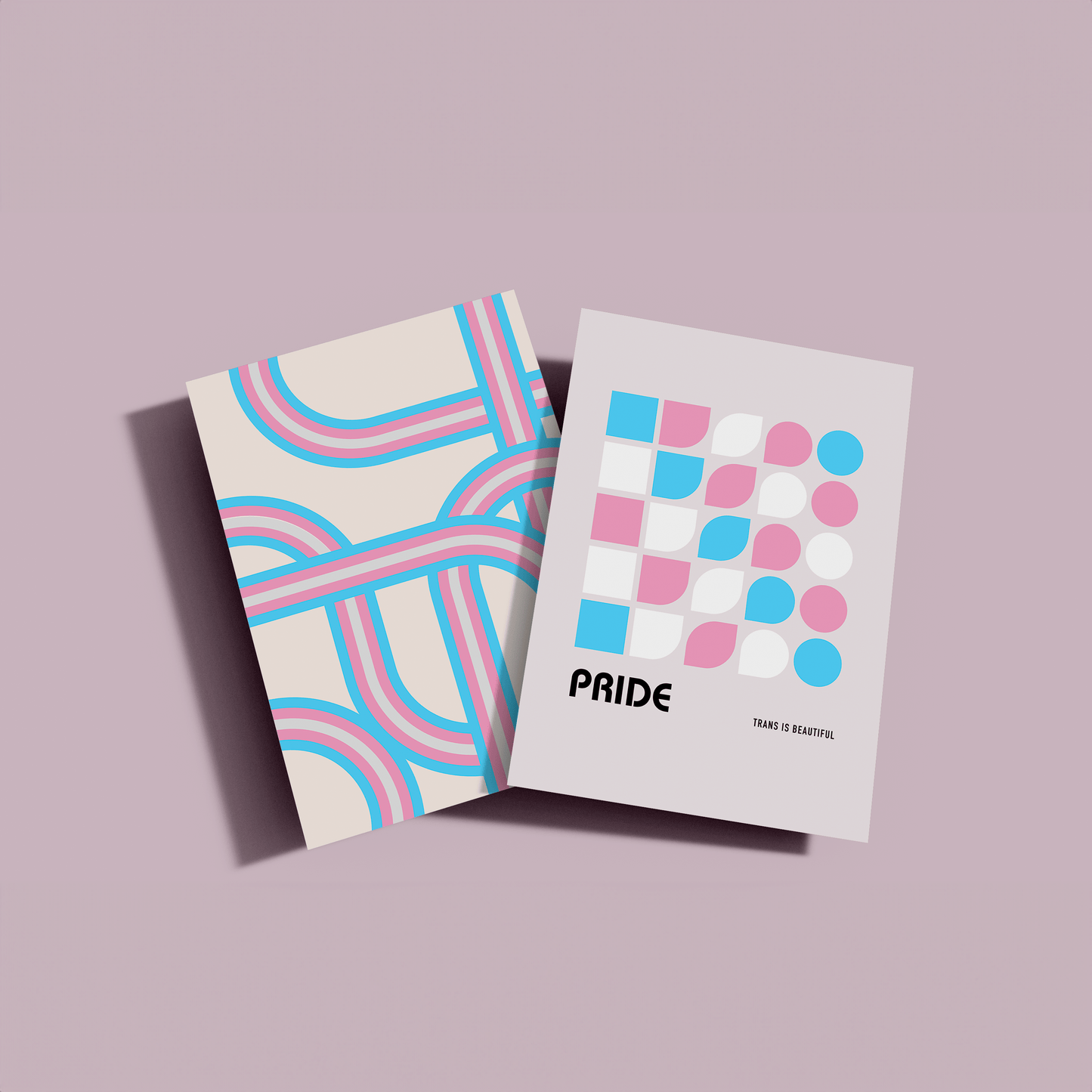 Trans Pride Duo - THE WALL SNOB