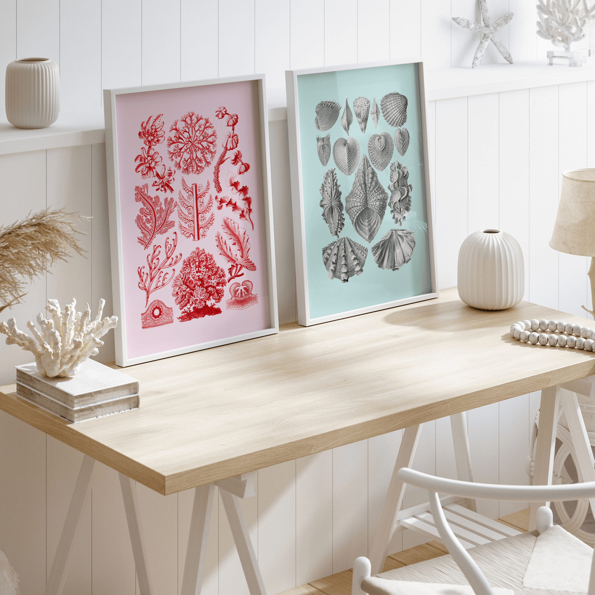 Sea Life Sea Shells Print - THE WALL SNOB