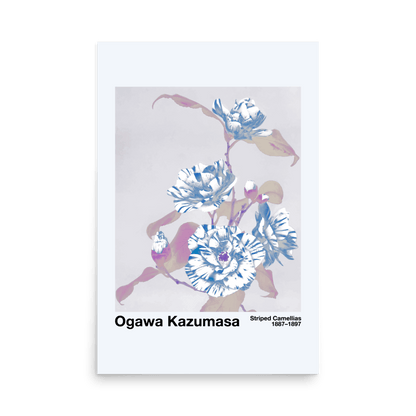 Striped Camellias by Kazumasa Print - THE WALL SNOB