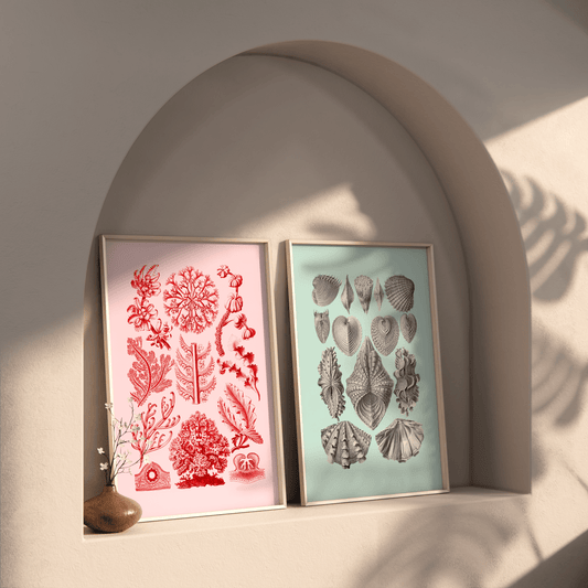 Vintage Sea Life Duo - THE WALL SNOB